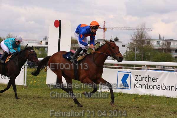 ET0Q1113 prot